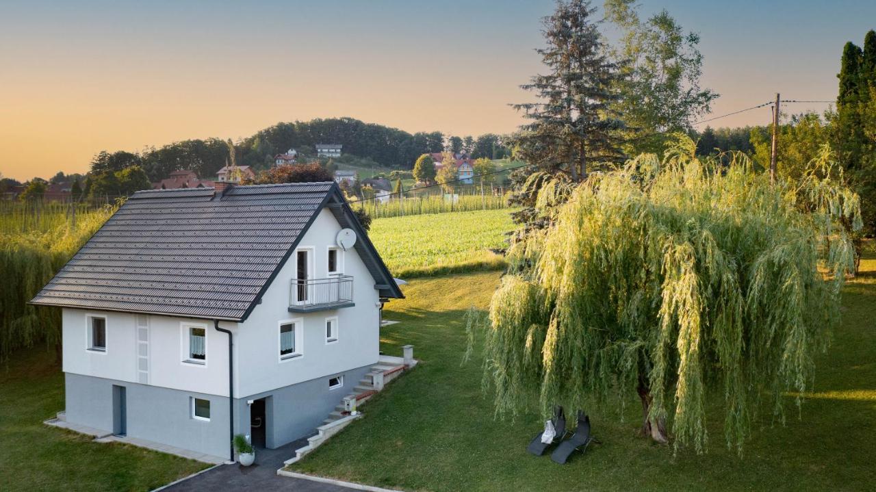 Ferienhaus Treissmann An Der Weinstrasse Leutschach Exterior photo